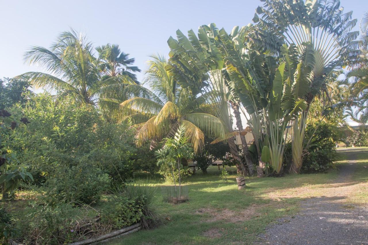 Gite Le Colibri Bungalow Azur Avec Reserve D'Eau Saint-Francois  Exterior photo