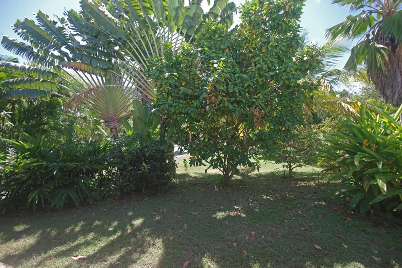 Gite Le Colibri Bungalow Azur Avec Reserve D'Eau Saint-Francois  Exterior photo