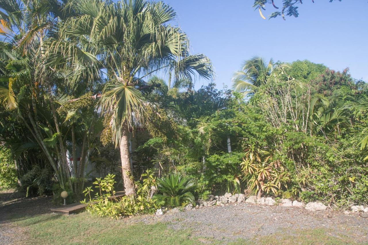Gite Le Colibri Bungalow Azur Avec Reserve D'Eau Saint-Francois  Exterior photo